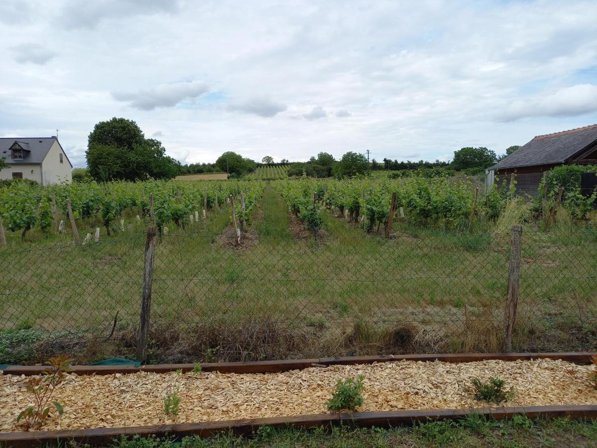 Hebergement Sarment Du Veron Chinon Villa Beaumont-en-Véron Kültér fotó