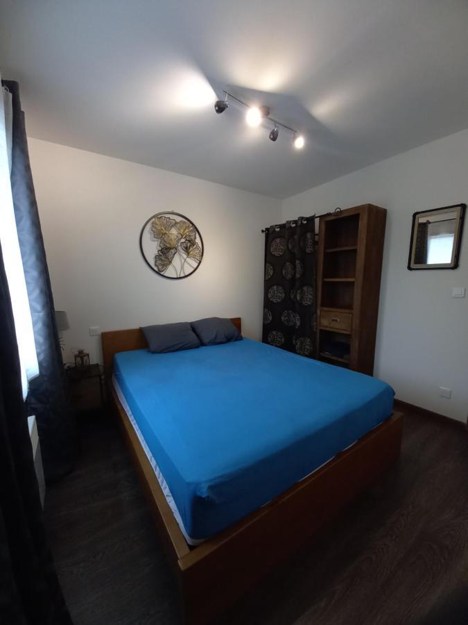Hebergement Sarment Du Veron Chinon Villa Beaumont-en-Véron Kültér fotó