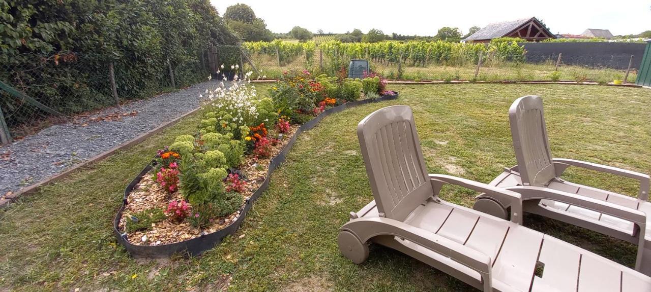 Hebergement Sarment Du Veron Chinon Villa Beaumont-en-Véron Kültér fotó